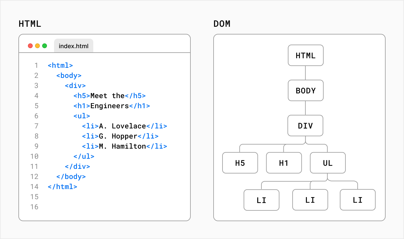 What is the dom, a visual guide